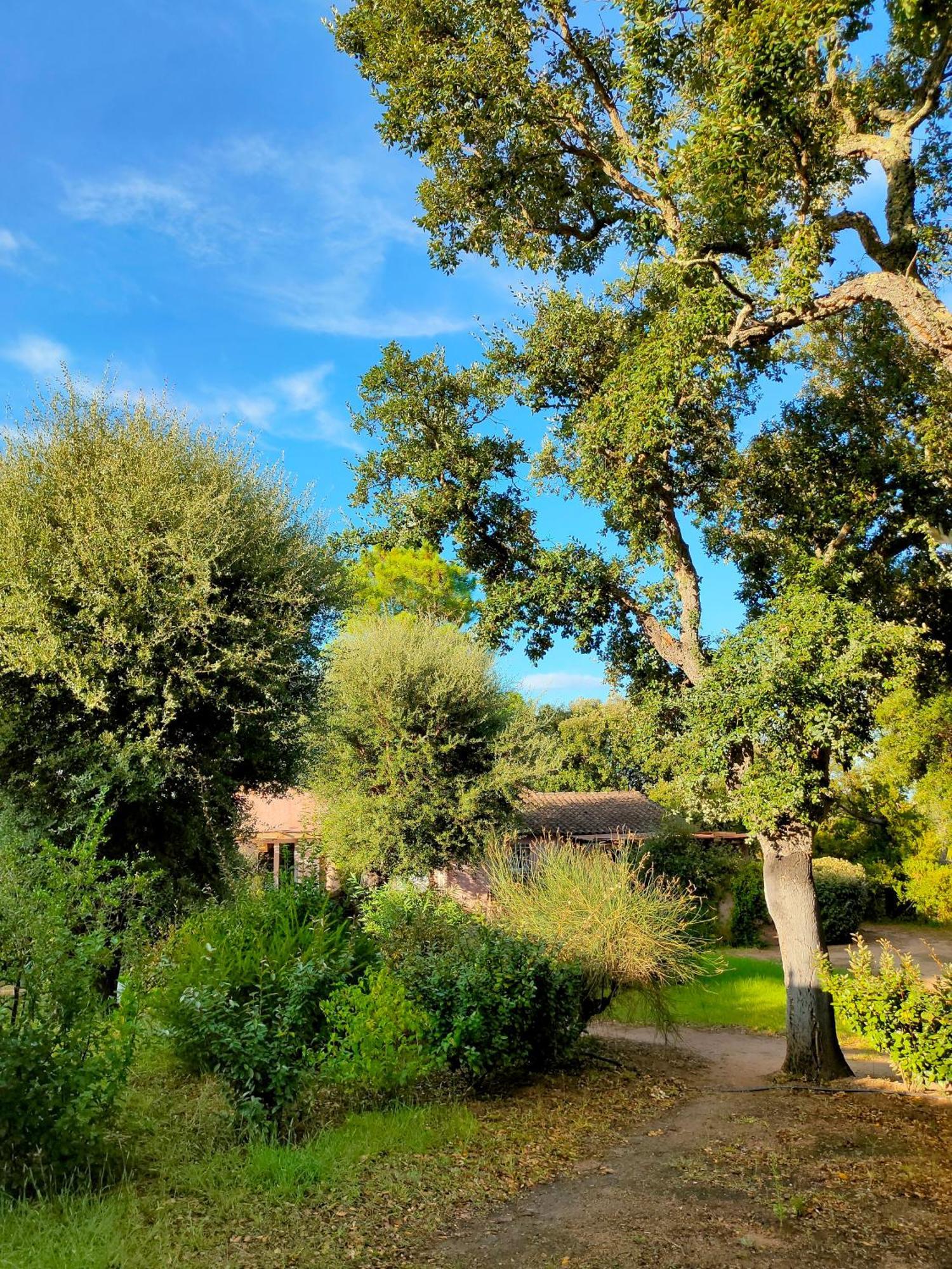 Résidence Les Cigales Porto Vecchio Exterior foto